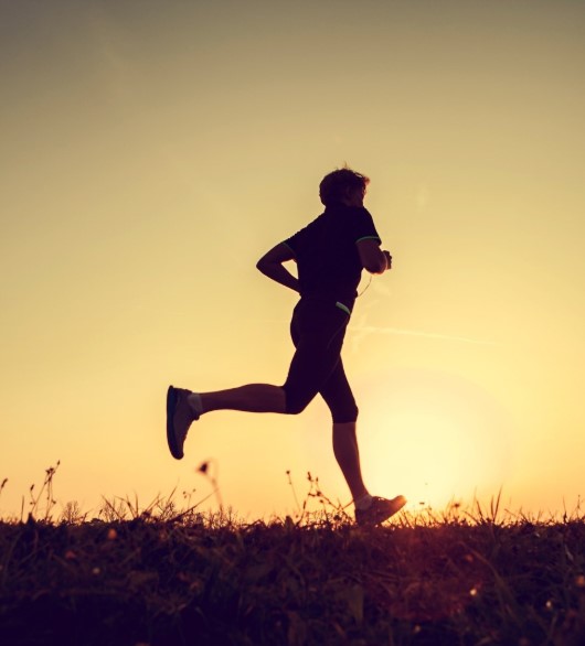 Los maratonianos experimentan cambios reversibles en la mielina cerebral